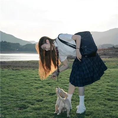 附属美丽